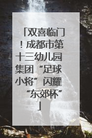 双喜临门！成都市第十三幼儿园集团“足球小将”闪耀“东郊杯”