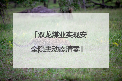 双龙煤业实现安全隐患动态清零