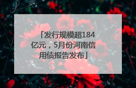 发行规模超184亿元，5月份河南信用债报告发布