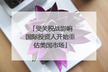 受关税战影响 国际投资人开始重估美国市场