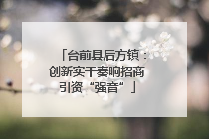 台前县后方镇：创新实干奏响招商引资“强音”