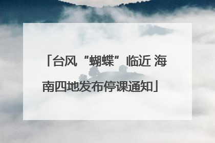 台风“蝴蝶”临近 海南四地发布停课通知