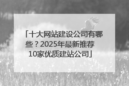 十大网站建设公司有哪些？2025年最新推荐10家优质建站公司