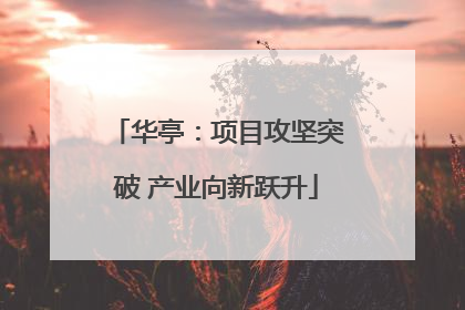 华亭：项目攻坚突破 产业向新跃升