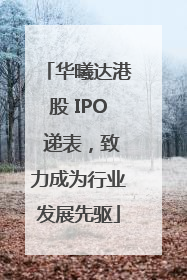 华曦达港股 IPO 递表，致力成为行业发展先驱