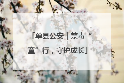 单县公安｜禁毒“童”行，守护成长