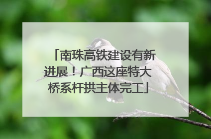 南珠高铁建设有新进展！广西这座特大桥系杆拱主体完工