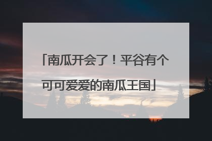 南瓜开会了！平谷有个可可爱爱的南瓜王国
