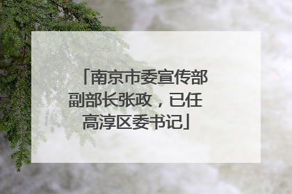 南京市委宣传部副部长张政，已任高淳区委书记