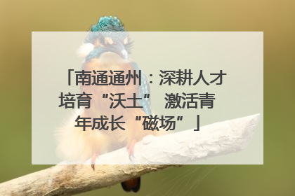 南通通州：深耕人才培育“沃土” 激活青年成长“磁场”