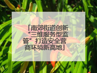 南郊街道创新“三维服务型监管”打造安全营商环境新高地