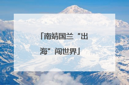 南靖国兰“出海”闯世界