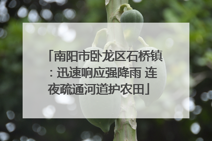 南阳市卧龙区石桥镇：迅速响应强降雨 连夜疏通河道护农田