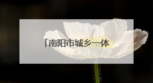 南阳市城乡一体化示范区税务局：精准服务护航企业合规发展