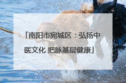 南阳市宛城区：弘扬中医文化 把脉基层健康