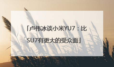 卢伟冰谈小米YU7：比SU7有更大的受众面