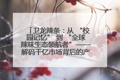 卫龙辣条：从 “校园记忆” 到 “全球辣味生态领航者”——解码千亿市场背后的产品创新与全链路破圈