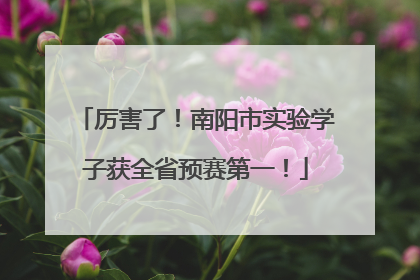 厉害了！南阳市实验学子获全省预赛第一！