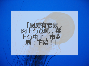 厨房有老鼠，肉上有苍蝇，菜上有虫子，市监局：下架！
