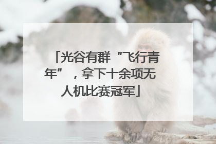 光谷有群“飞行青年”，拿下十余项无人机比赛冠军