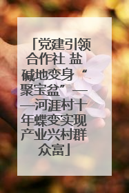 党建引领合作社 盐碱地变身“聚宝盆”——河涯村十年蝶变实现产业兴村群众富