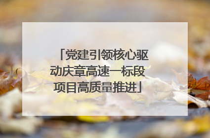党建引领核心驱动庆章高速一标段项目高质量推进