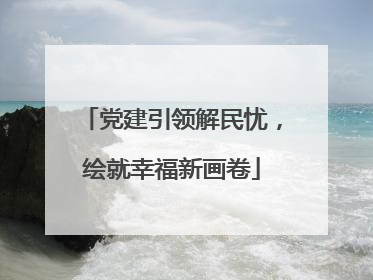 党建引领解民忧，绘就幸福新画卷