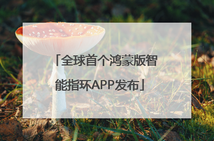 全球首个鸿蒙版智能指环APP发布