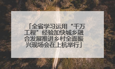 全省学习运用“千万工程”经验加快城乡融合发展推进乡村全面振兴现场会在上杭举行