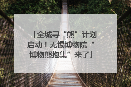 全城寻“熊”计划启动！无锡博物院“博物熊抱集”来了