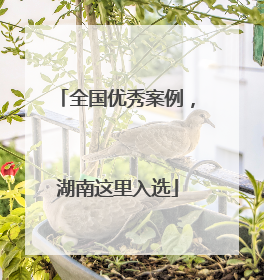 全国优秀案例，湖南这里入选