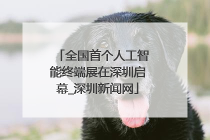 全国首个人工智能终端展在深圳启幕_深圳新闻网