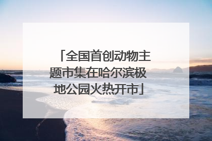 全国首创动物主题市集在哈尔滨极地公园火热开市