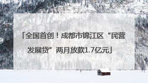 全国首创！成都市锦江区“民营发展贷”两月放款1.7亿元
