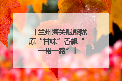 兰州海关赋能陇原“甘味”香飘“一带一路”