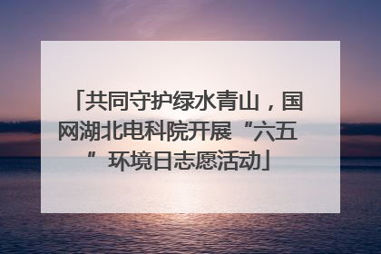 共同守护绿水青山，国网湖北电科院开展“六五”环境日志愿活动