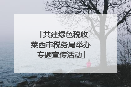 共建绿色税收 莱西市税务局举办专题宣传活动