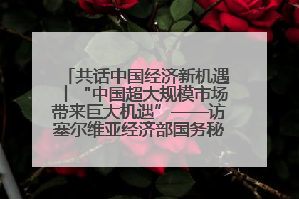 共话中国经济新机遇丨“中国超大规模市场带来巨大机遇”——访塞尔维亚经济部国务秘书尼科利奇