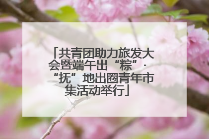 共青团助力旅发大会暨端午出“粽”·“抚”地出圈青年市集活动举行