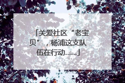 关爱社区“老宝贝”，杨浦这支队伍在行动……