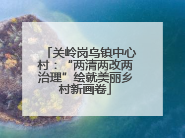 关岭岗乌镇中心村：“两清两改两治理”绘就美丽乡村新画卷