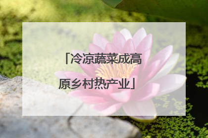 冷凉蔬菜成高原乡村热产业