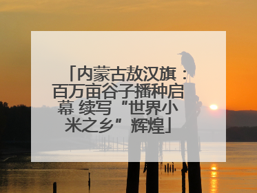 内蒙古敖汉旗：百万亩谷子播种启幕 续写“世界小米之乡”辉煌