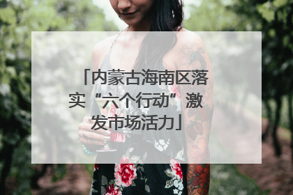 内蒙古海南区落实“六个行动”激发市场活力