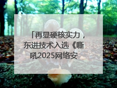 再显硬核实力，东进技术入选《嘶吼2025网络安全产业图谱》
