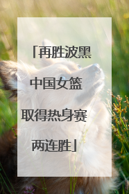 再胜波黑 中国女篮取得热身赛两连胜