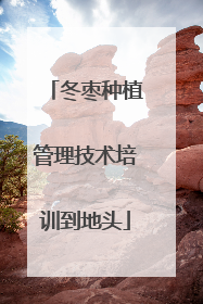 冬枣种植管理技术培训到地头
