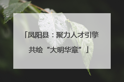 凤阳县：聚力人才引擎 共绘“大明华章”