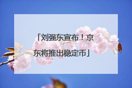 刘强东宣布！京东将推出稳定币