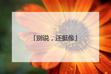 别说，还挺像